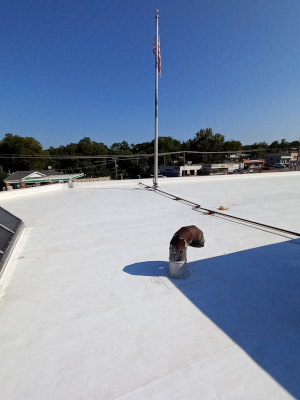 Protect Your Roof With Commercial Roof Cleaning
