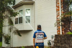 Siding Cleaning