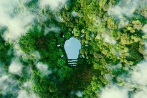 Soft Washing: An Eco-Friendly Choice