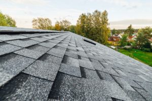 Why Regular Roof Cleaning Is Essential for Home Maintenance